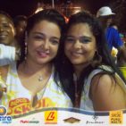 Bloco Skol Folia